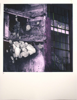 http://www.thierrywesel.be/files/gimgs/th-16_THY_2655.jpg
