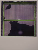 http://www.thierrywesel.be/files/gimgs/th-16_THY_2724.jpg