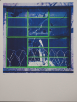 http://www.thierrywesel.be/files/gimgs/th-16_thy_1729.jpg