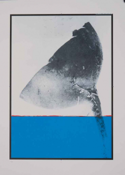 http://www.thierrywesel.be/files/gimgs/th-17_dac_1676.jpg