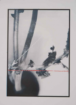 http://www.thierrywesel.be/files/gimgs/th-17_dac_1679.jpg