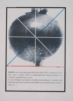 http://www.thierrywesel.be/files/gimgs/th-17_dac_1681.jpg
