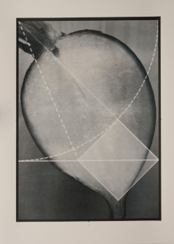 http://www.thierrywesel.be/files/gimgs/th-17_dsc_0019.jpg