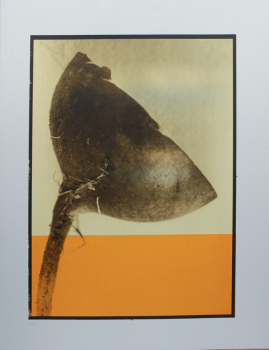 http://www.thierrywesel.be/files/gimgs/th-17_dsc_6578.jpg