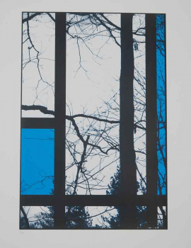http://www.thierrywesel.be/files/gimgs/th-18_tyw_4507.jpg