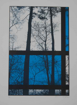 http://www.thierrywesel.be/files/gimgs/th-18_tyw_4508.jpg