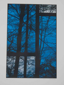 http://www.thierrywesel.be/files/gimgs/th-18_tyw_4510.jpg