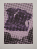 http://www.thierrywesel.be/files/gimgs/th-30_thy_1407.jpg