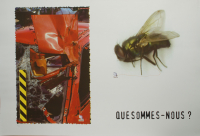 http://www.thierrywesel.be/files/gimgs/th-33_dsc_6728.jpg