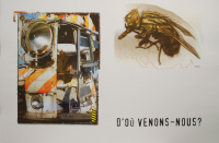 http://www.thierrywesel.be/files/gimgs/th-33_dsc_6737.jpg