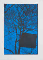 http://www.thierrywesel.be/files/gimgs/th-38_tyw_03.jpg