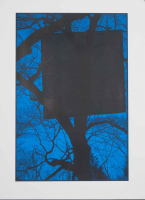 http://www.thierrywesel.be/files/gimgs/th-38_tyw_05.jpg