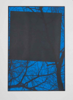 http://www.thierrywesel.be/files/gimgs/th-38_tyw_06.jpg