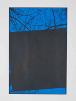 http://www.thierrywesel.be/files/gimgs/th-38_tyw_07.jpg