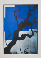 http://www.thierrywesel.be/files/gimgs/th-38_tyw_9029.jpg