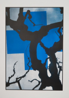 http://www.thierrywesel.be/files/gimgs/th-38_tyw_9032.jpg