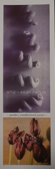 http://www.thierrywesel.be/files/gimgs/th-51_THY_2620.jpg