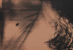 http://www.thierrywesel.be/files/gimgs/th-54_tyw_4522.jpg
