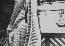 http://www.thierrywesel.be/files/gimgs/th-54_tyw_4526.jpg
