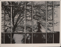 http://www.thierrywesel.be/files/gimgs/th-60_THY_5033.jpg