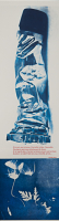 http://www.thierrywesel.be/files/gimgs/th-61_THY_3217_v3.jpg