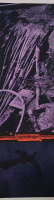 http://www.thierrywesel.be/files/gimgs/th-62_THY_4646.jpg
