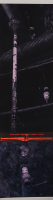 http://www.thierrywesel.be/files/gimgs/th-62_THY_4655.jpg
